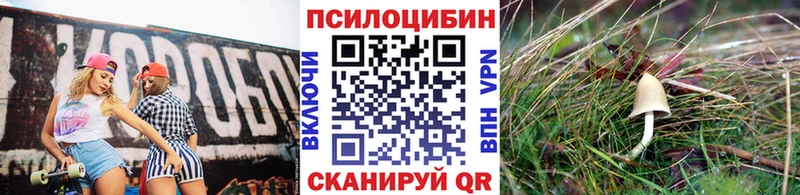 как найти   Качканар  Галлюциногенные грибы мухоморы 